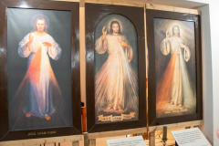 22.02.2025_94._rocznica_objawienia6142